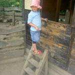 Toulcvův dvůr den deti_2012